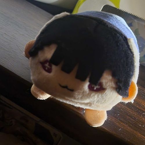 虎丸尚とのぬいと日々過ごしています。