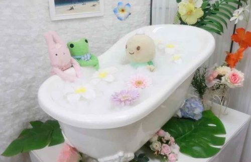 じつは、かめちゃんは、ぬいぐるみ病気に入院してたんだよ〜
きょうみがあるおともだちは、調べてみてね！！