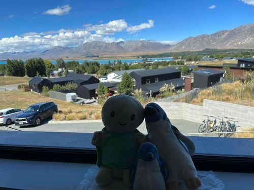 ニュージーランド🇳🇿にやってきたよ！
親友のぺんぎんの、ふるさとなんだ〜！
新しいお友だちもできたよ。