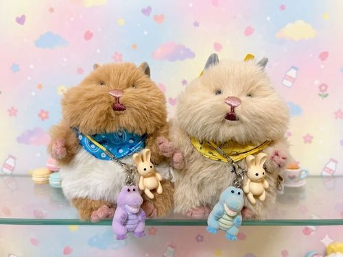 ままに、新しいワニさん、買ってもらったよ🐹🐊💞