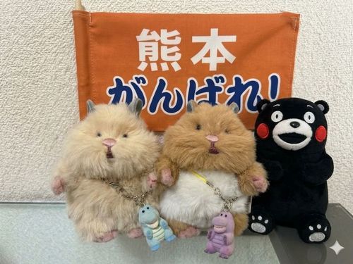 微力ながら、熊本産を購入したり貢献できることをしていきたいと思います！！
ヤマザキパン、すき家にも貢献させていただきます！！
熊本！がんばるでち！