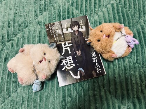 どくしょなのだ。🐹📖