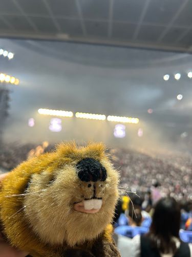 京セラドームたのしかったのだ！🦫