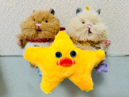 ママが作った新しいおともだち、Mr.スターだよ！