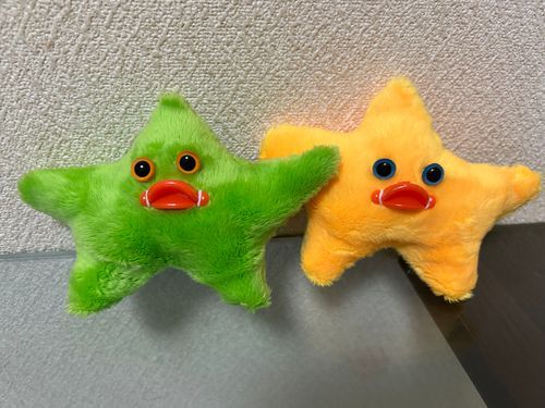 流れ星ブラザーズ⭐️