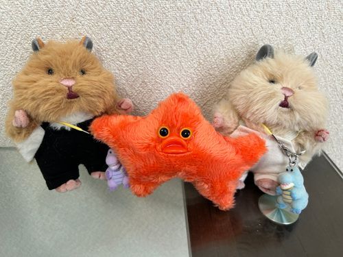 お星さまをゲットしたでち！🐹