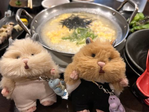 とりぞうすいでち！