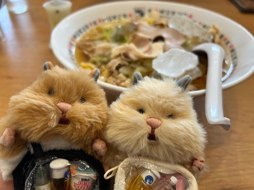 ひえひえらーめんでち！