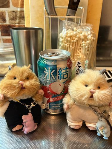 おつかれさまでち！
かんぱーい！でち！🐹🍻