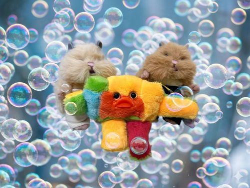 ハギレから生まれたハギレちゃんでち！
新しい仲間が増えたでち！🐹