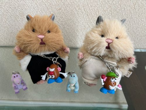 あたらしいおもちゃかってもらったでち！
たからものがふえたでち！🐹