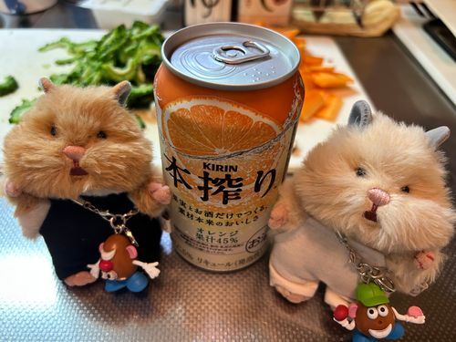 今日はゴーヤチャンプルーでち！