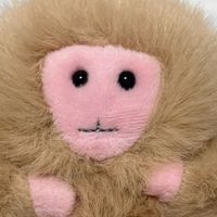 おさるちゃん