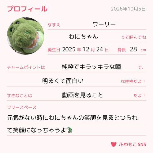 わにちゃんのプロフィール🐊