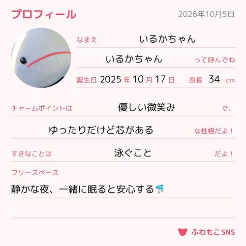 いるかちゃんのプロフィール🐬
