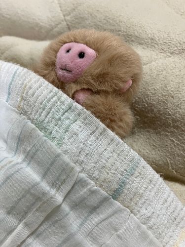 眠い時間だね