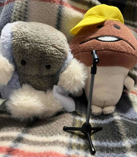 🖥️こーんにーちはー！
きょうは くりすますだし えむわんのひだから あいかたと こんとをしてます！
おととしの えむわんは かんどうてきで ぼくもすこしなきました
らいふいず びゅーてぃふる！