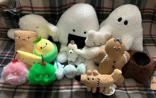 今年お迎えしたひとびと😊