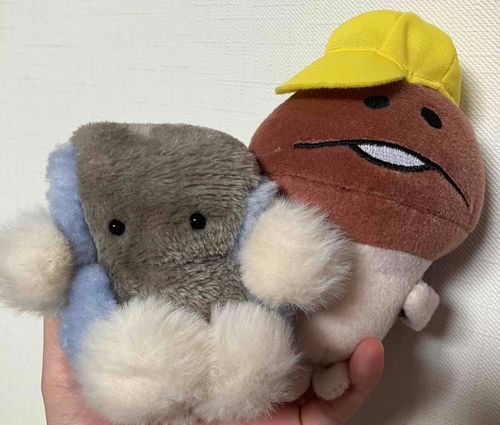 🖥️こーんにーちはー！
ふがくんだよ！
6がつの にしきごいのらいぶ 2かいいけることになたよ！
はやく6がつにならないかなー

🍄んふんふ！ミチルです
錦鯉のライブが楽しみです