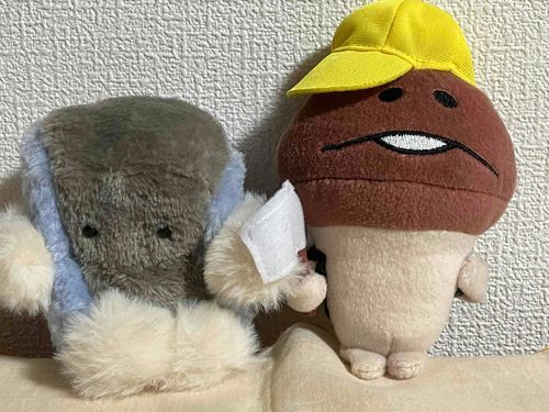 🖥️こーんにーちはー！！
きょうから ぼくのなまえは ふがくんあらためまさのりになります！
🍄んふんふ！ぼくはミチル改めたかしだよ！よろしくどうぞ。
🖥️こんびめいは にしきごいです！