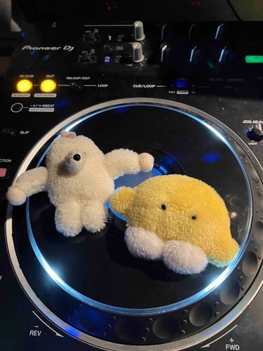 🍋こんにちは、りもちゃんです
りもちゃん、このあいだDJというものをやりました！
ばくおんで おんがくをかけて たのしかったです！