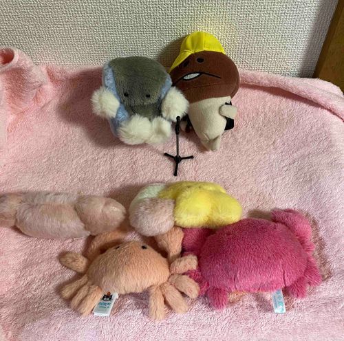 🖥️どーもー！
こーんにーちはー！！
🍄ようこそだろ
🖥️ぽんこつこんぴた さんじょう！
🍄他のスーパーコンピューターに失礼だからやめなさい！

🖥️あたらしいこがきたら ぼくとミチルでまんざいをしてかんげいします！
🍄今回はカニィーさんの雪華さんの歓迎会でした。
