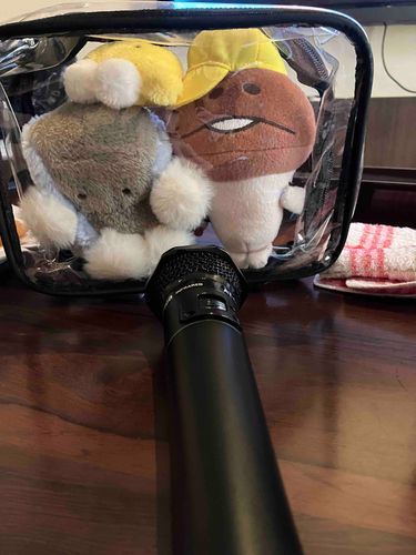 🖥️こーんにーちはー！！！
🍄んふんふ！うるさいな！
🖥️ぬいぐるみかいの にしきごいだよ！
🍄まだそこまでは行ってないでしょ！
🖥️ぬいぐるみかいの まさのりこと ふがくんです！
このあいだ まむとまむのおともだちと からおけいてきました！
🍄渡辺隆ことミチルです
のりのり散歩のオープニングテーマが入ってなくて、ふがくんが大騒ぎしてましたよ
🍋りももしゃべっていい？
🖥️いいよ！
🍋りものうたいたいおうたもはいっていなかったよ！
🖥️りもちゃんのおうたは さくしさっきょくりもちゃんの おりじなるのおうたでしょ？それはないってまむがいてたよ！
🍋…りもちゃんのうた、からおけにはいるようにがんばる！