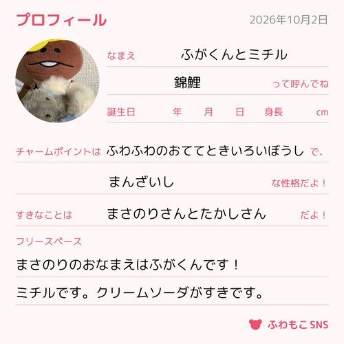 アイコンになってる自称ぬいぐるみ界の錦鯉ことふがくんとミチルくんのプロフ。