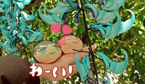 ヒスイカズラを見に行ったよ
大好きな色に大喜び✨️
