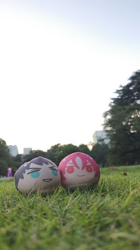 お散歩日和🚶と言うには暑すぎる日だったけど、夕方になって少し涼しくなったね〜！