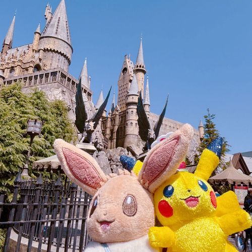 🏰✨