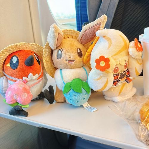 🚄