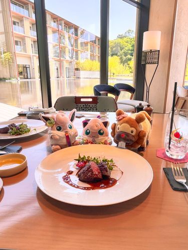 「高級ランチのチケットをもらったので、贅沢してきた！ビッパちゃんも一緒！」「この後犬山城の近くを散策したプリ〜」