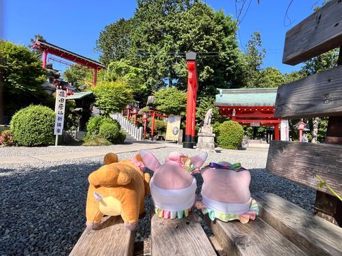 「犬山の神社で撮ったよ！いろんな神社が一つにまとまってたみたい」「いっぱいお参りしたからご利益あるといいな〜プリ」