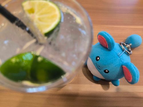 「おさけは うまい ﾏﾘね…」

マリちゃんはお酒飲んでいません。
わたくしが頼んだお酒を見て、
しみじみ言っていました。

マリちゃんはお酒の味をまだ知らない。
背伸びしたい年頃のようです。