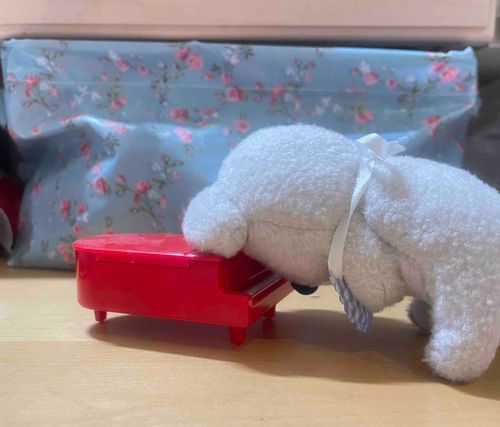 ざせつ、、、🎹