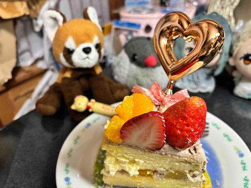 🐦　かいぬしさんおかえり！てこれ、おみやげ！？！？

🤎　けーきだ！！え！？てづくり！？かいぬしさんの！？すごい！！たべよたびよ！
