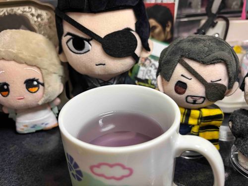 🐍🖤　とりあえず話聞いたら、俺はここやと支配人呼ばれとるらしいわ。あとこのちっこいのは俺の兄貴分らしいわ。

🐍　ちっこいの言うなや新入り！！おやつやらんぞ！！

🖤🐍　なんなんや…