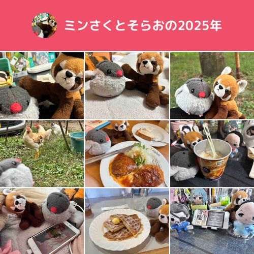 🐦　おはよ！もすぐ2025ねんが、おわちゃうね…

🤎　たくさんあそんだね！あ！このおしゃしんなつかし！！📷

🐦　ほとだ！ミンさくはね、まなかのおしゃしすき！！📷