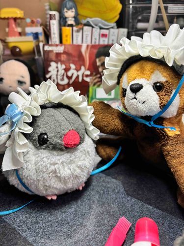 🐦　みて！かいぬしさんがね、へっどどれすをつくてくれたの！

🤎　かわいよね！ふたりでおそろいなの！