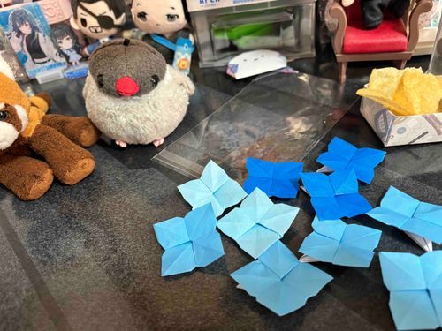 🐦　たくさおれたね！！すご！

🤎　これあしたわたすんだて！よろこぶかな(っ ॑꒳ ॑c)