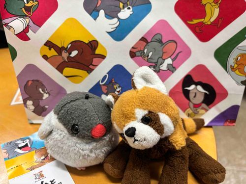🤎　おはよ！きのね、みんなでとむとじぇりーをみにいたよ！！

🐦　かいぬしさんはとむがすきなだて！