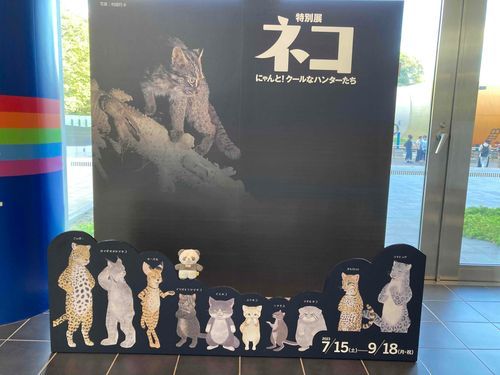 紛れ込ませていただきました