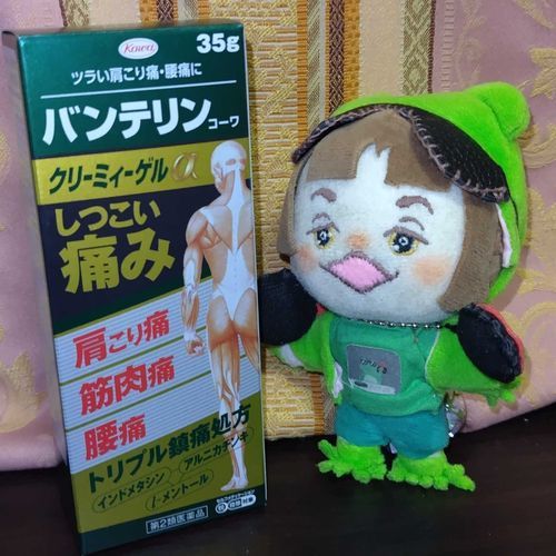 ぴょんちゃんは
もちぬしの生態を見守っとるのじゃ
