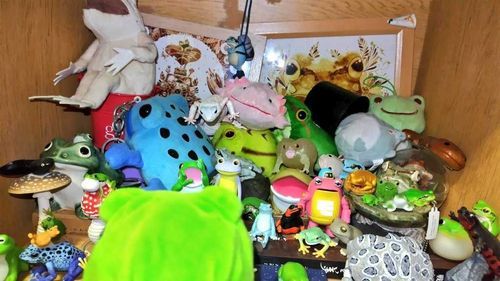 お前達
新入りじゃよ　可愛がるのじゃ