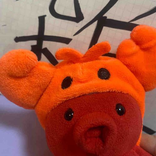 今日の配信は海老ちゃん🦐を被って、魚介ぱわーマシマシで頑張りまつた！
リスナーさんに蟹？🦀って聞かれたけど、海老でつ！
あ、でも確かに蟹にも見えまつね……
