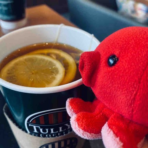Fu〜〜っ＝3、Fu〜〜っ＝3
タリーズの期間限定レモンチーは、
たこやんの最近のお気に入りでつ🍋☕️
甘酸っぱスパイシィ！

