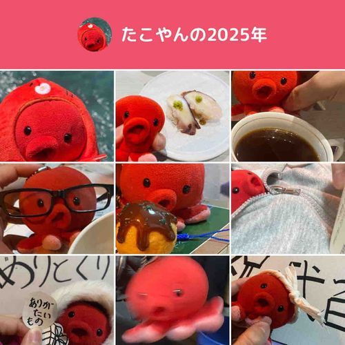ふわもこSNSを初めて、
まだちょっとでつが、
2025年の厳選されしたこやんショット9連発でつ！
来年もいっぱいお写真あげたいでつ〜💪
