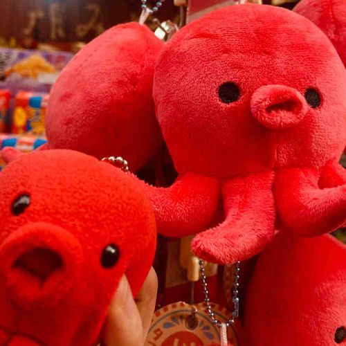 ﾋﾟｪｰ！！！
たこやんのそっくりさんがたくさん！
🐙🐙🐙🐙🐙
今日はたこ祭りでつ！🐙🏮👘✨