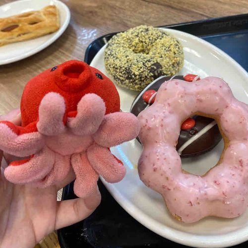 あけまつておめでとうございまつ！
すえひろがりな一年になりまつように！
写真はお正月と全然関係ないでつ！
ポンデリングの〇はたこやんの足の数と一緒！